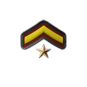 PRIVATE FIRST CLASS 1 STAR