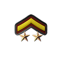 PRIVATE FIRST CLASS 2 STAR