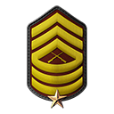 MASTER SERGEANT 1 STAR